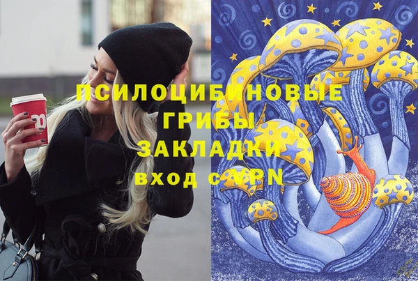 винт Алексин
