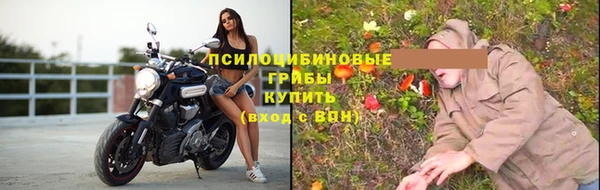 винт Алексин