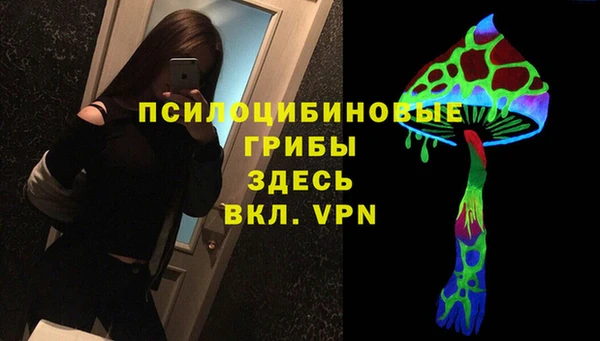 винт Алексин