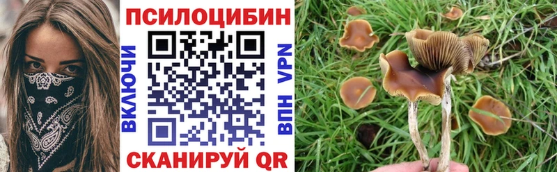 Псилоцибиновые грибы Psilocybe  Североуральск 