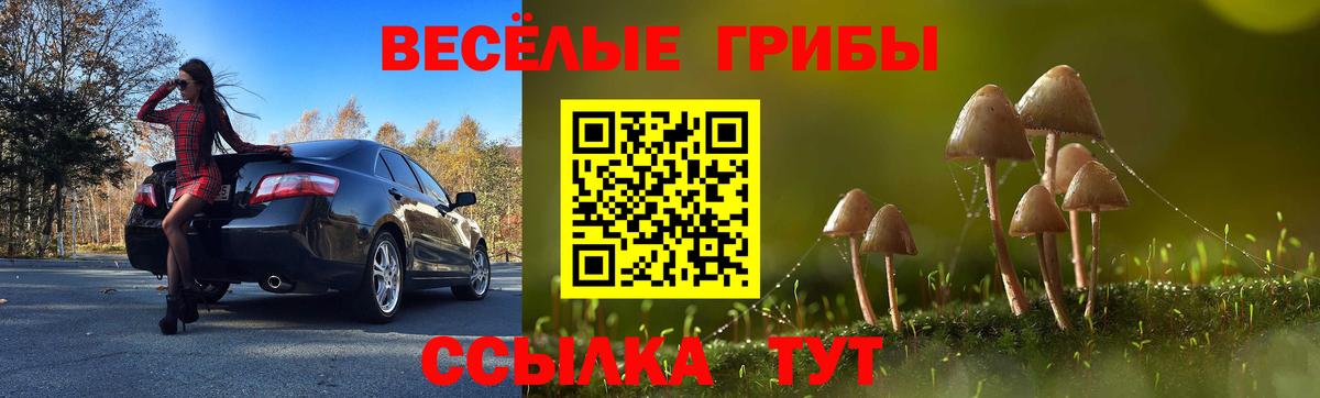 что такое   Галлюциногенные грибы мухоморы  Вход с VPN  Псилоцибиновые грибы Psilocybe  Североуральск 